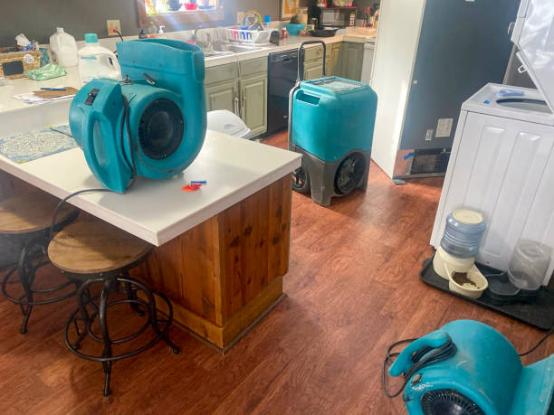 Best Fire Damage Restoration  in Carlsbad, NM