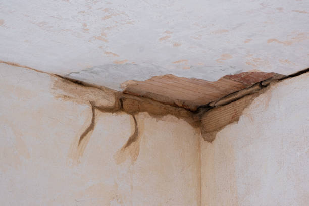 Best Water damage restoration near me  in Carlsbad, NM