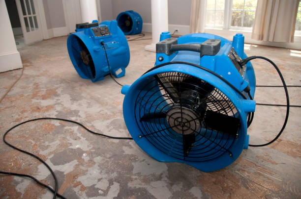 Best Flooded house restoration  in Carlsbad, NM