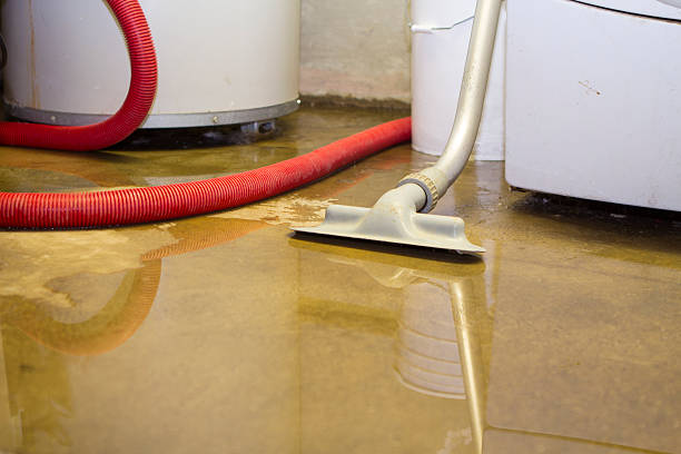 Best Sewage cleanup and water damage restoration  in Carlsbad, NM