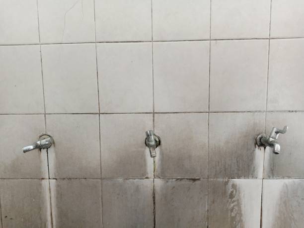 Best Flood restoration services  in Carlsbad, NM